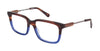 Vince Camuto Eyeglasses VG190 - Go-Readers.com