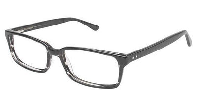Vision's Eyeglasses 202 - Go-Readers.com