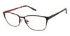 Vision's Eyeglasses 236 - Go-Readers.com