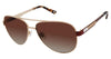 Jimmy Crystal New York Sunglasses JCS119 - Go-Readers.com