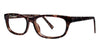 Modern Eyeglasses Dance - Go-Readers.com
