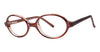 Modern Eyeglasses Gumball - Go-Readers.com